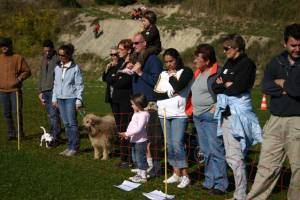 Pétanque - comportement face à un chien