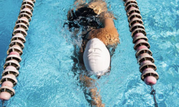 Cours De Natation Adultes